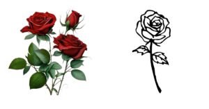 Symbolism of Roses