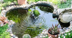 Adding Nature to a Backyard Setting with a Pond or Water Feature